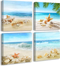 Beach Wall Art Bathroom Paintings Decor Seashell Starfish Nature Canvas Pictures Blue Ocean Theme Decorations Posters Contemporary Nautical for Bedroom…
