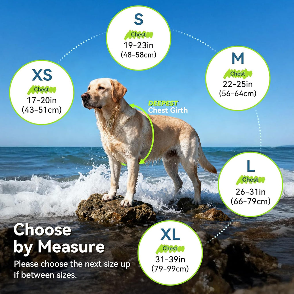 Sports Style Dog Life Vest, Dog Life Jacket for Swimming & Boating, Ripstop & Buoyancy for Puppy Doggy, Lifejacket with Handle, XS, Blue